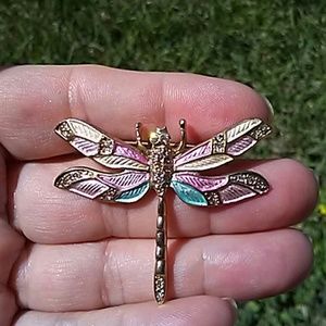Dragonfly pin